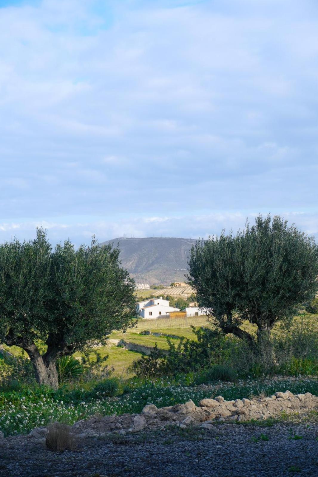 Hotel Finca Olivar Benissa Exteriér fotografie