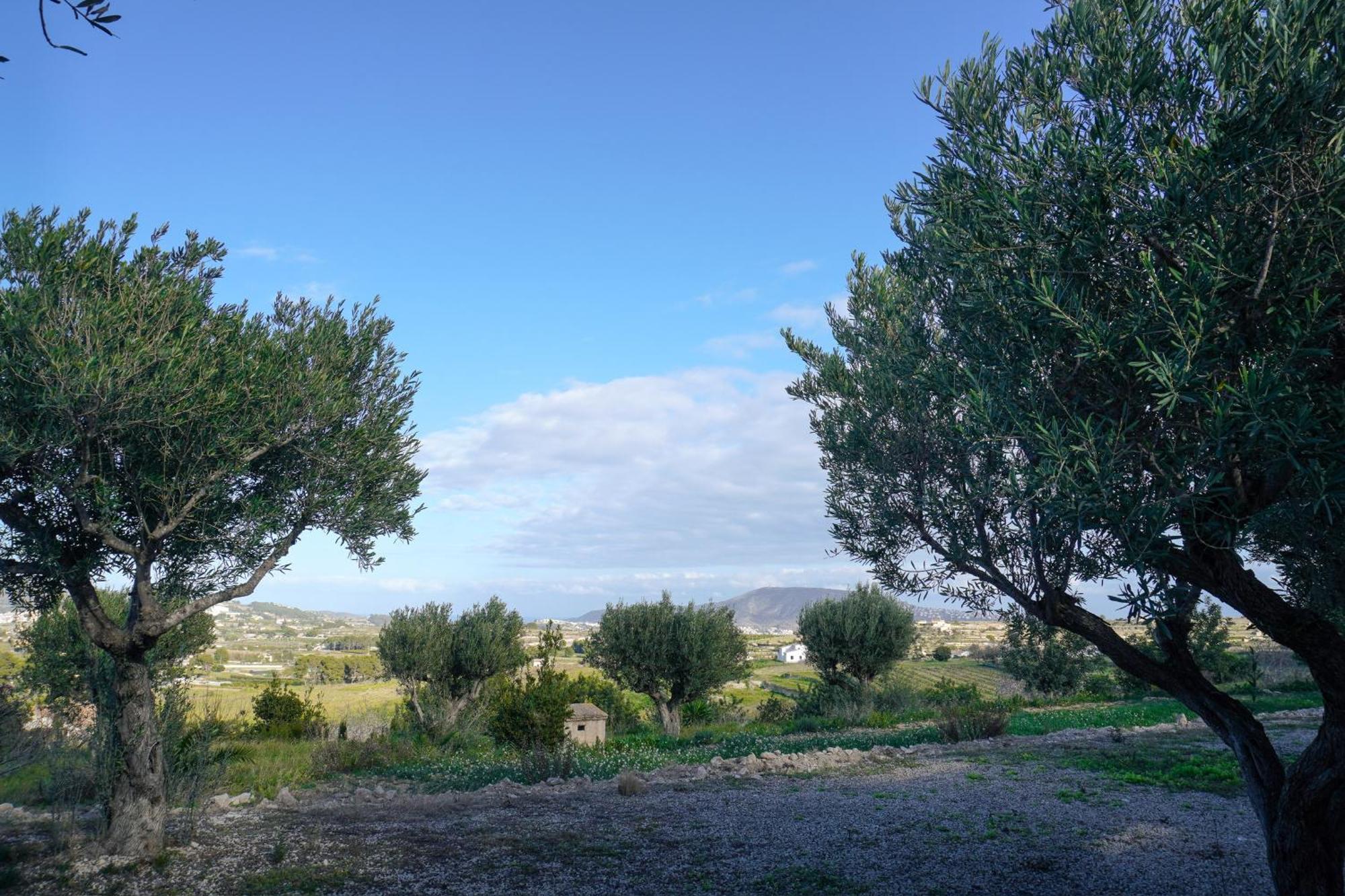Hotel Finca Olivar Benissa Exteriér fotografie